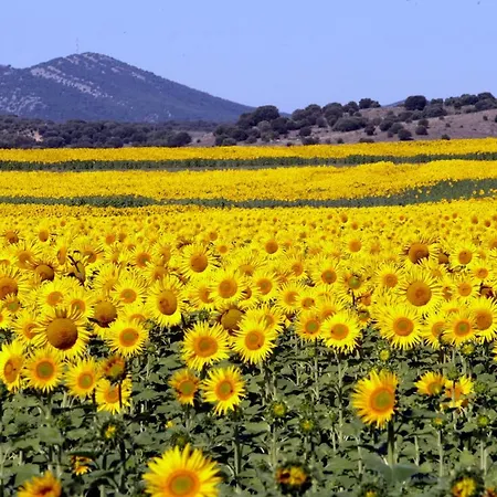 La Casa Del Diezmo 2*